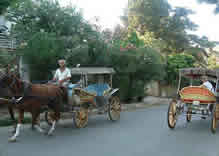 Princess Island Tour